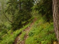 2014-08-02_06FritzPflaum-Steig (387).JPG